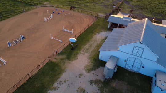 Immersive Horsemanship Vacation