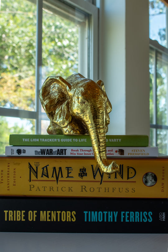 Immersive Horsemanship Vacation