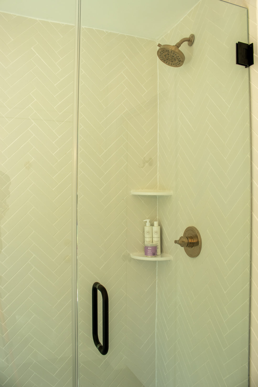 Immersive Horsemanship Vacation