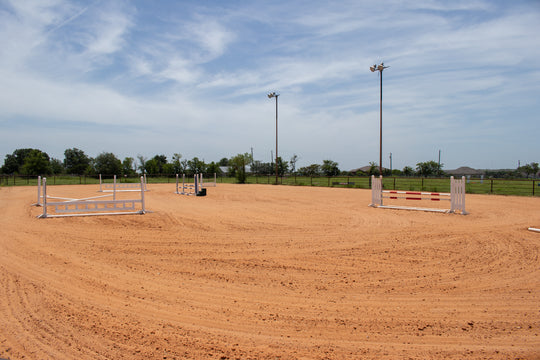 Immersive Horsemanship Vacation