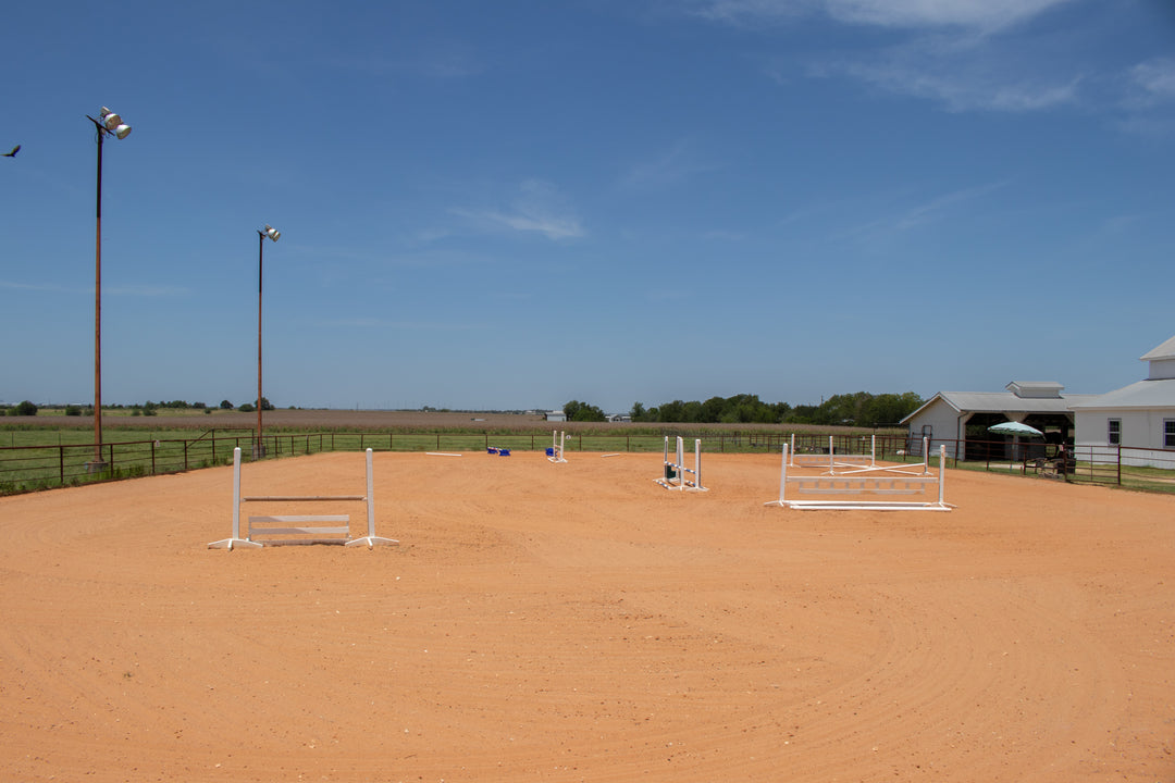 Immersive Horsemanship Vacation