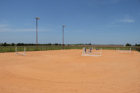 Immersive Horsemanship Vacation