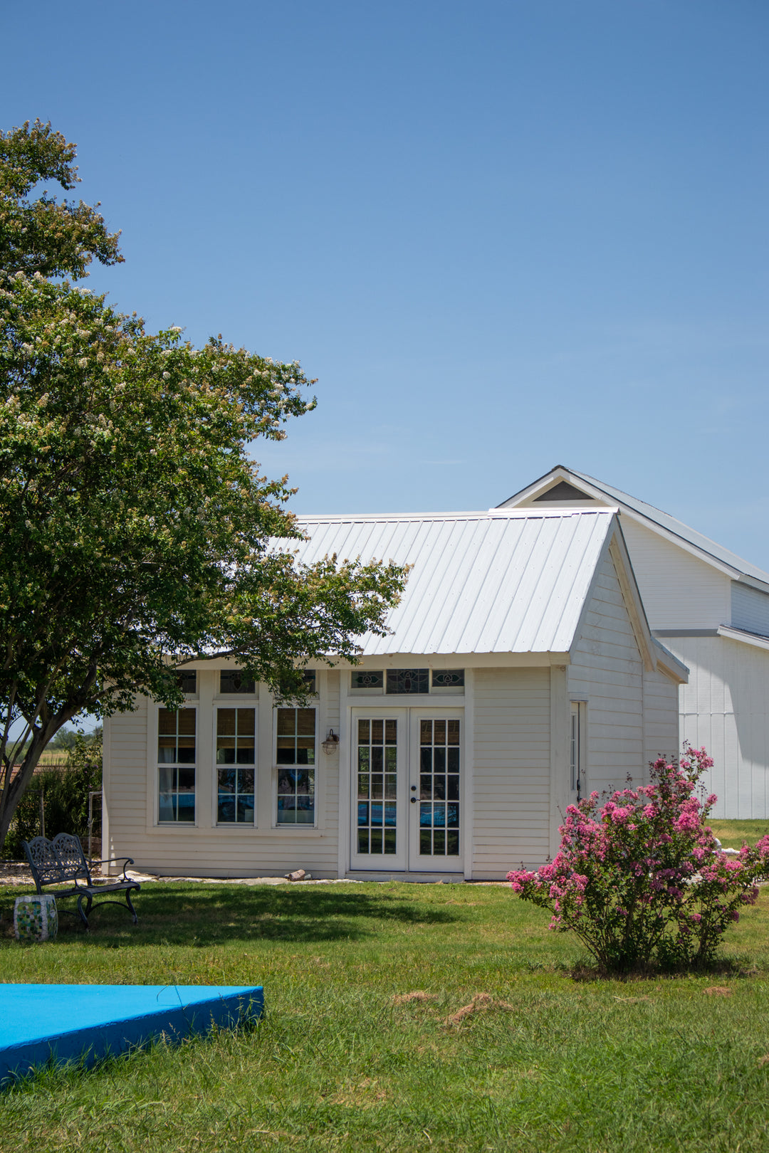 Immersive Horsemanship Vacation