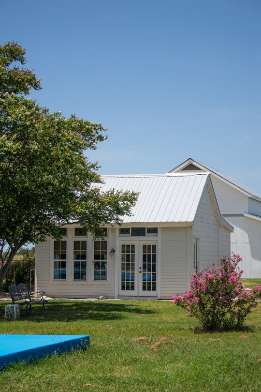 Immersive Horsemanship Vacation