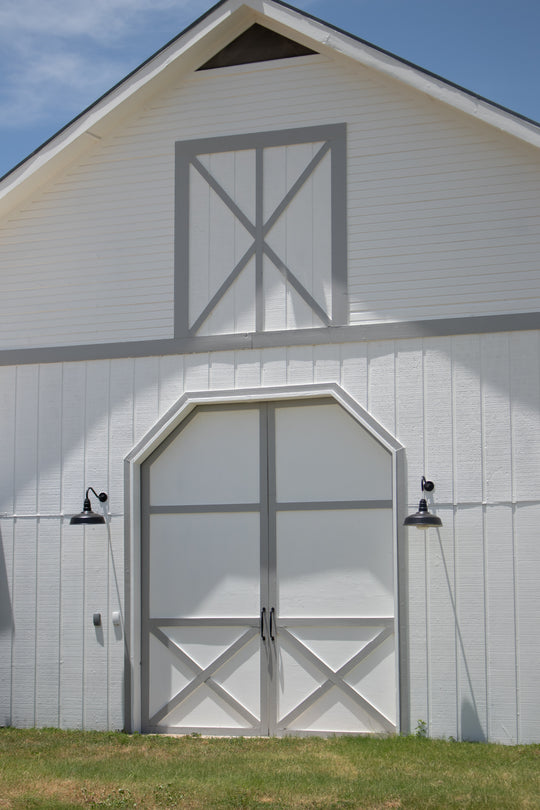 Immersive Horsemanship Vacation