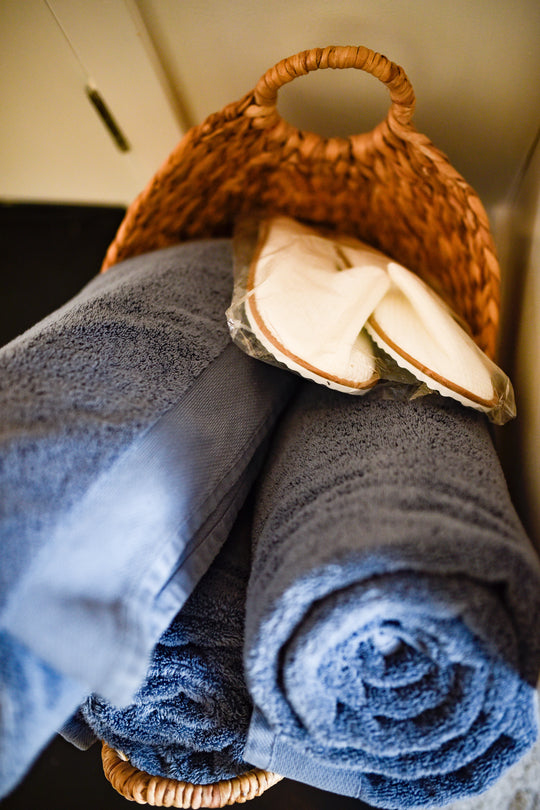 Immersive Horsemanship Vacation