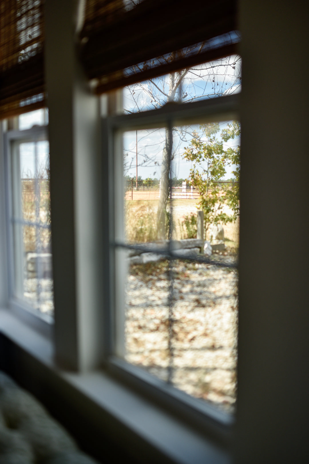 Immersive Horsemanship Vacation