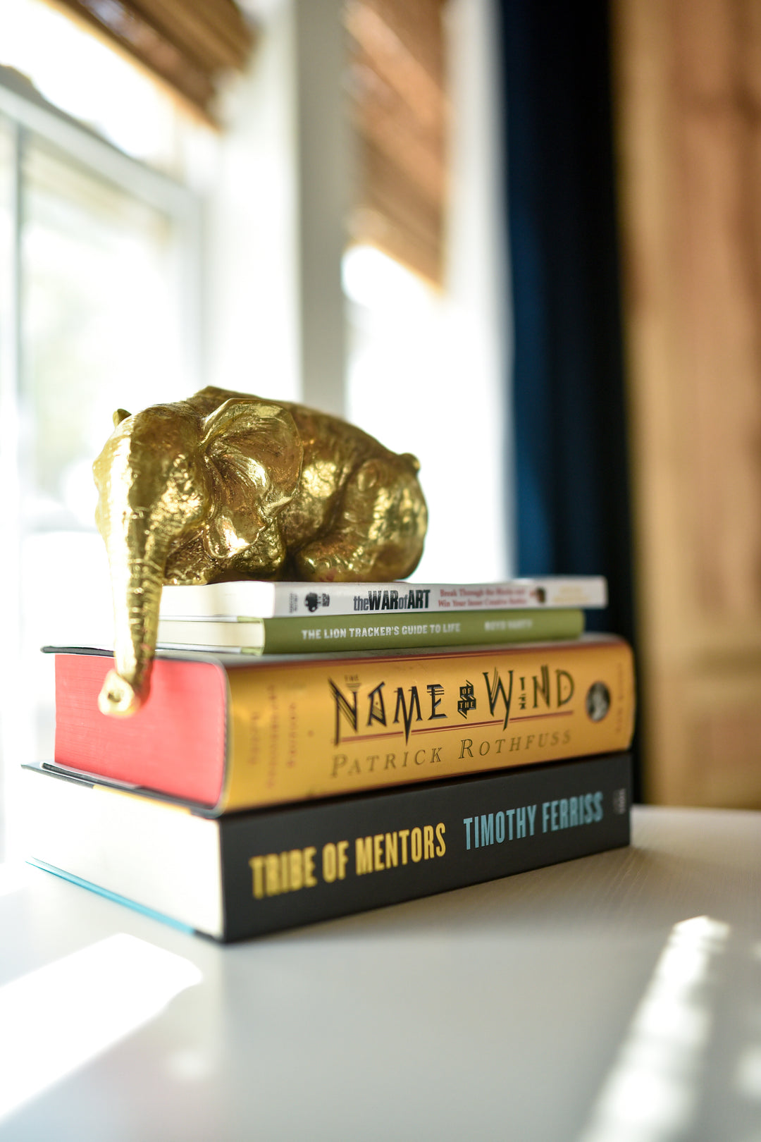 Immersive Horsemanship Vacation